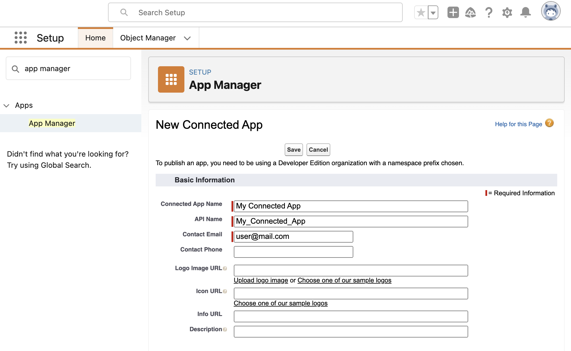 Creating the xAPI Actions Connected App - Globebyte Documentation